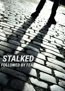 Stalked: Followed by Fear poster