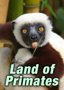 Póster de Land of Primates