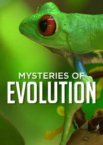 Póster de Misterios de la Evolucion