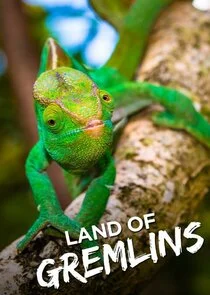 Póster de Land of Gremlins