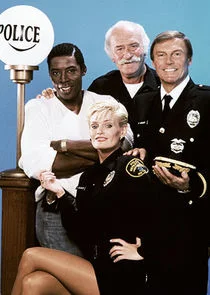 Affiche de The Last Precinct
