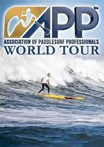 APP Stand Up Paddle Board poster