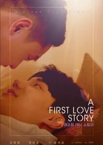 Pôster de A First Love Story