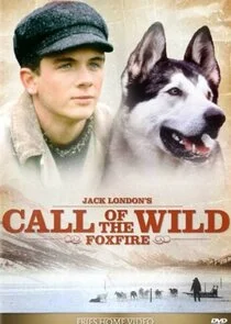 Affiche de Call of the Wild