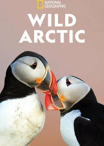 Wild Arctic poster