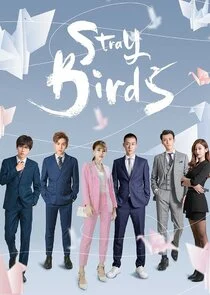 Plakat Stray Birds