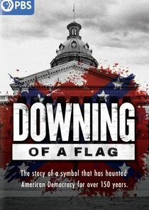 Downing of a Flag poster