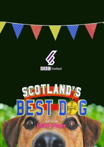 Scotland's Best Dog poster
