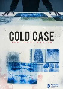 Affiche de Cold Case