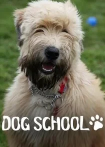 Dog School poster