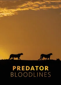 Predator Bloodlines poster