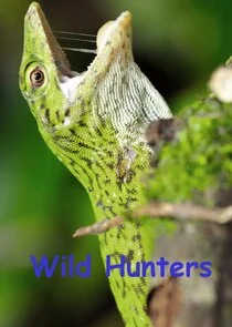 Wild Hunters poster
