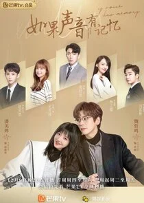 If the Voice Has Memory poster