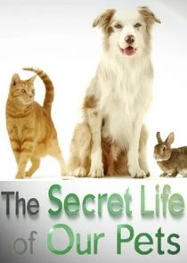 The Secret Life of Our Pets poster