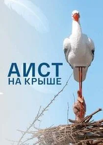 ÄÂÄÂ¸ĹÂĹâ€š ÄËťÄÂ° ÄĹźĹâ‚¬Ĺâ€ąĹÂÄÂµ poster