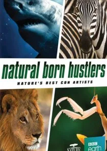 Natural Born Hustlers poster