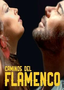 Caminos del flamenco poster