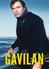 Gavilan poster