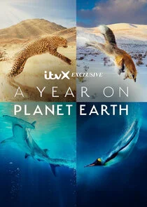 A Year on Planet Earth poster