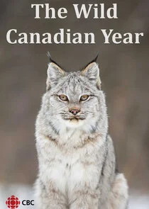 The Wild Canadian Year poster