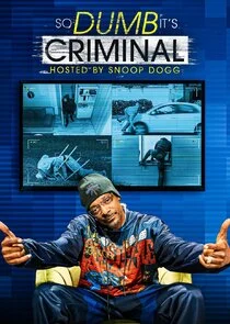 Affiche de So Dumb It's Criminal