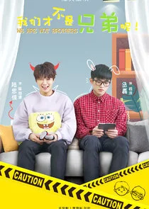 We Are Not Brothers Poster