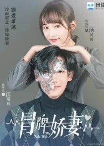 Plakat My Fake Wife