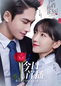 Plakat Fall in Love with My Trouble