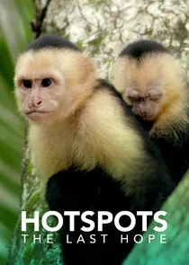 Hotspots: The Last Hope poster