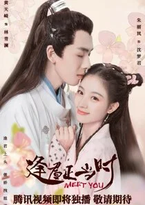 Feng Jun Zheng Dang Shi Poster