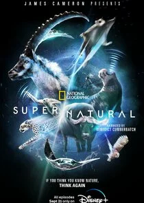Pôster de Super/Natural