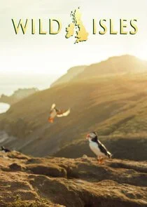 Wild Isles poster