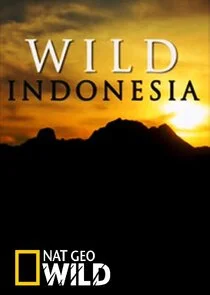 Pôster de Destination Wild: Indonesia