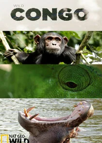 Pôster de Destination Wild: Congo