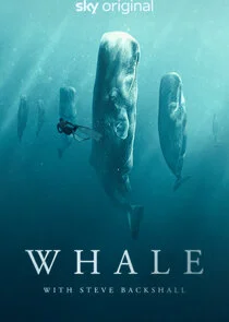 Wale – mit Steve Backshall Poster