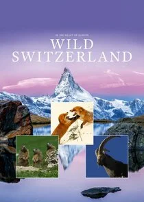 Pôster de Wild Switzerland