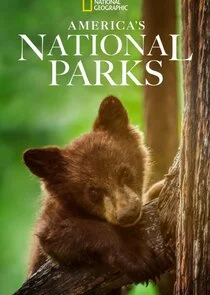 Pôster de America's National Parks