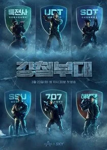 Póster de Steel Troops