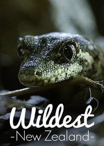 Pôster de Wildest New Zealand