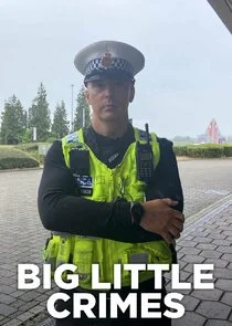 Affiche de Big Little Crimes