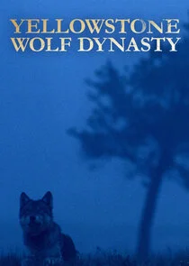 Póster de La dinastía del lobo de Yellowstone