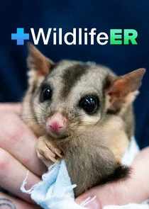 Wildlife ER poster