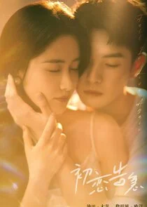 Affiche de Fall in Love Again