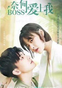 Póster de Well Staged Love