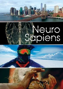 Neuro Sapiens Poster