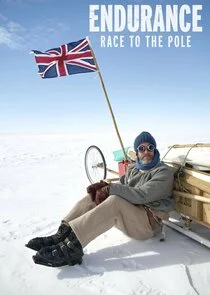 Póster de Endurance