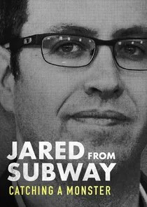 Affiche de Le prédateur de Subway