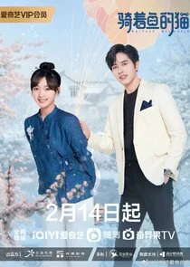 Affiche de Perfect Mismatch