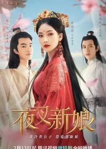 Affiche de Fierce Bride