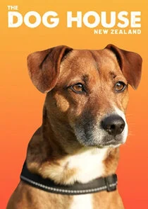 The Dog House NZ afişi